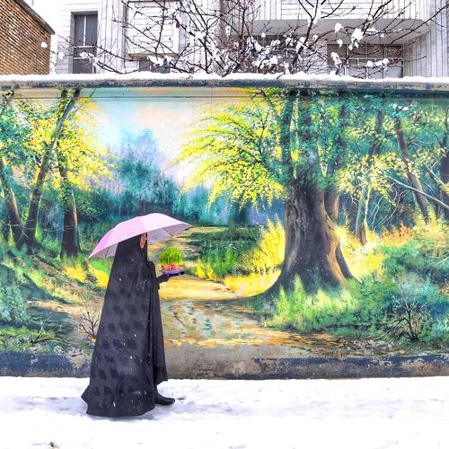 Photo #4002889