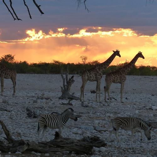 Photo #4002934