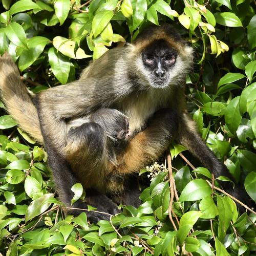 Photo #4003098