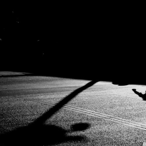 Photo #4003256