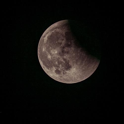 Photo #4003340