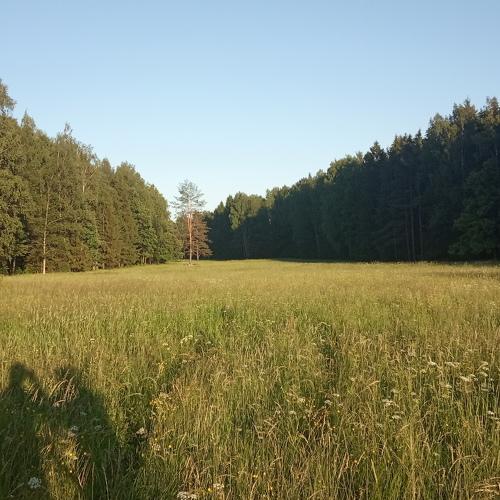 Photo #4003743
