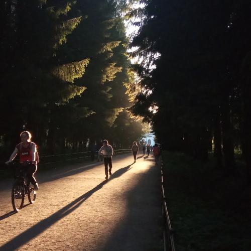 Photo #4003760