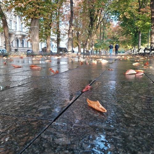 Photo #4004000