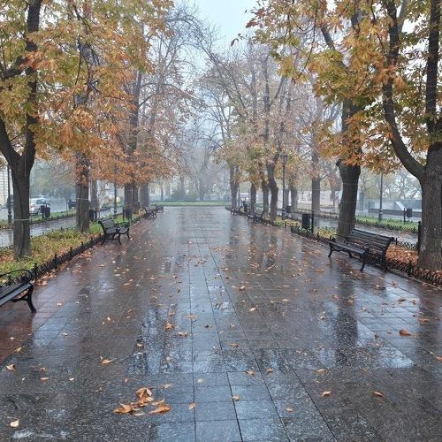 Photo #4004002
