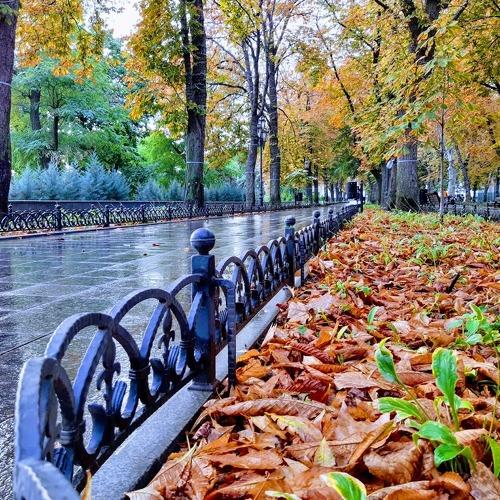 Autumn
