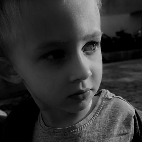 Photo #4004218