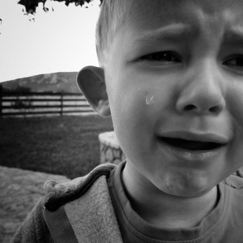 Photo #4004227