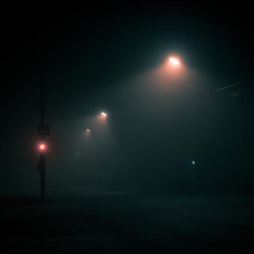 Photo #4004238