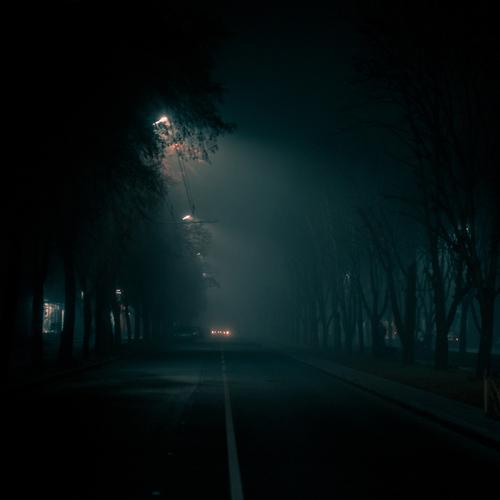 Photo #4004240