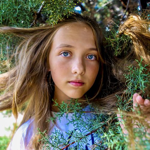 Photo #4004327