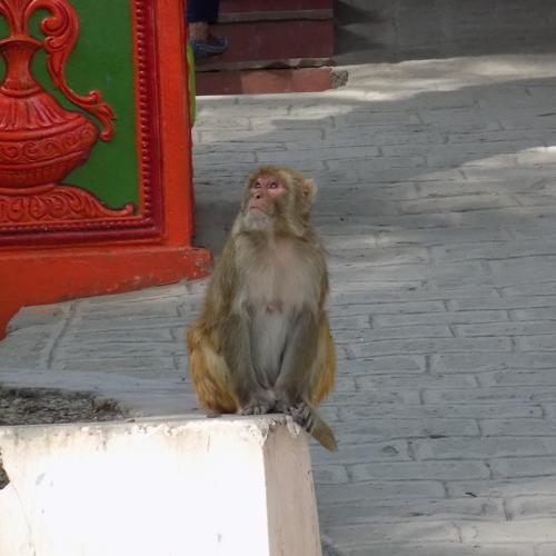 Photo #4004996
