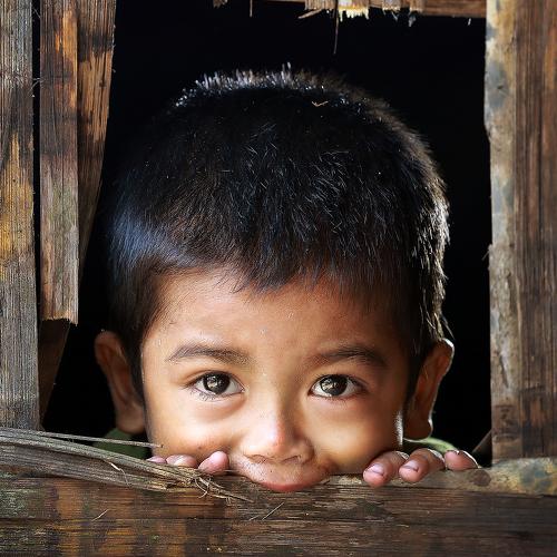 Photo #4005000