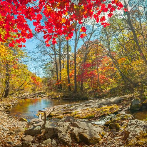 Photo #4005941