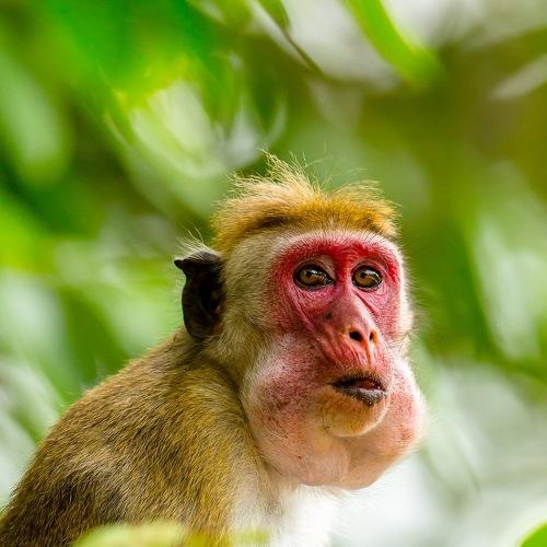Photo #4006317