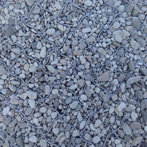 Photo #4006592