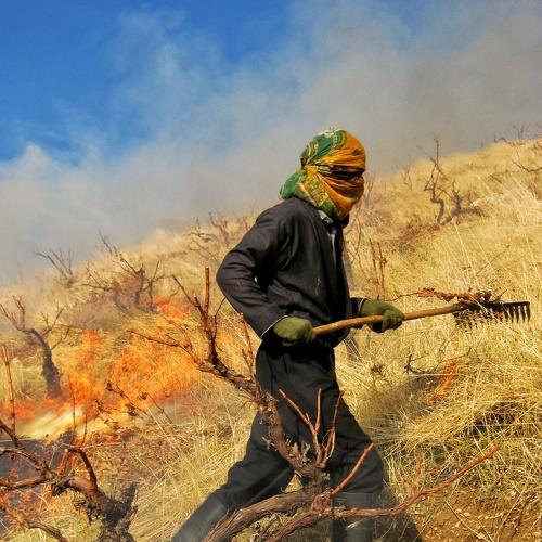 Fire is life or death