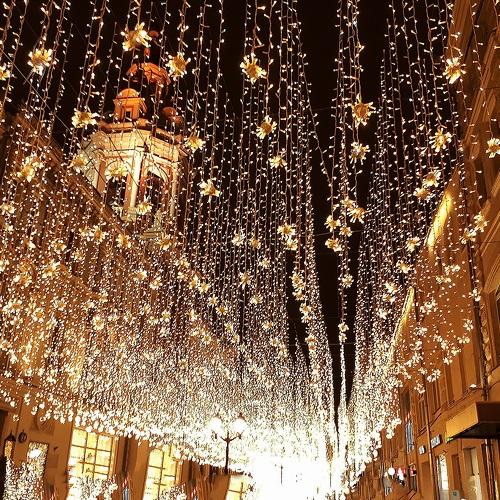 Photo #4006838