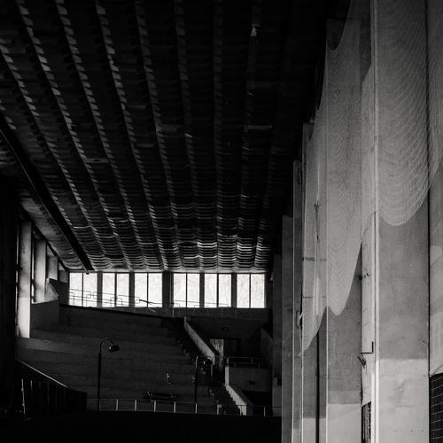 Photo #4006917
