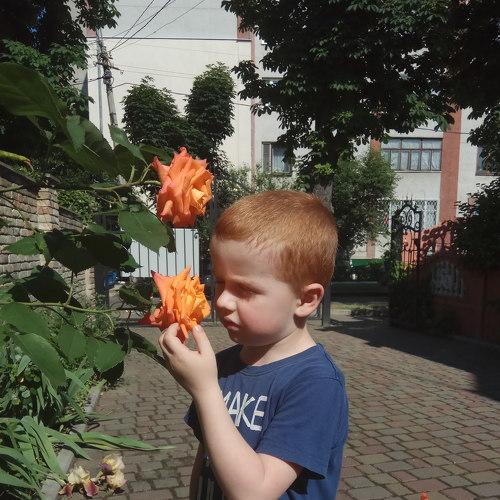 Photo #4006952