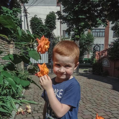 Photo #4007029