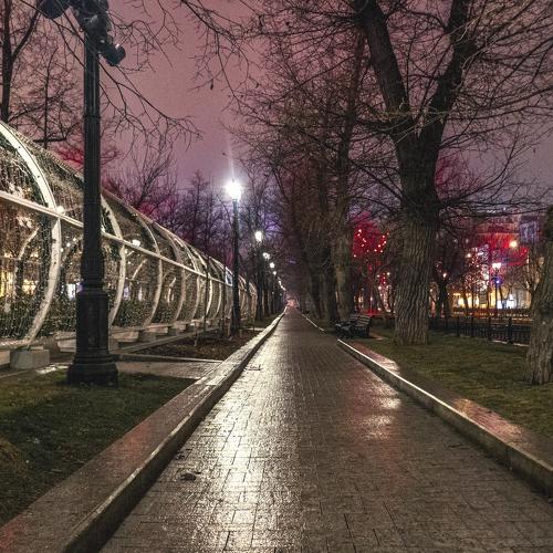 Photo #4007423