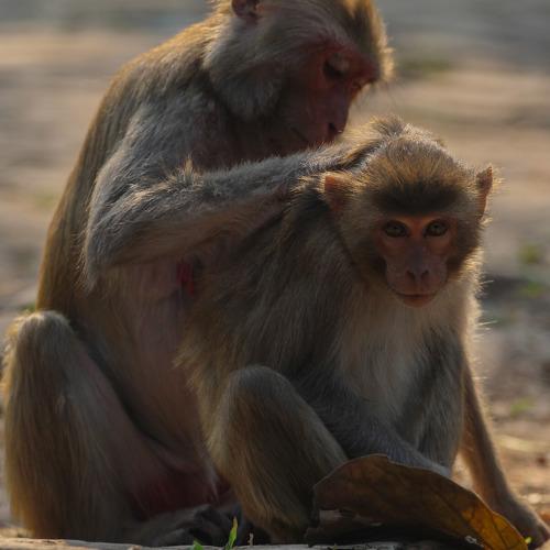 Photo #4007479