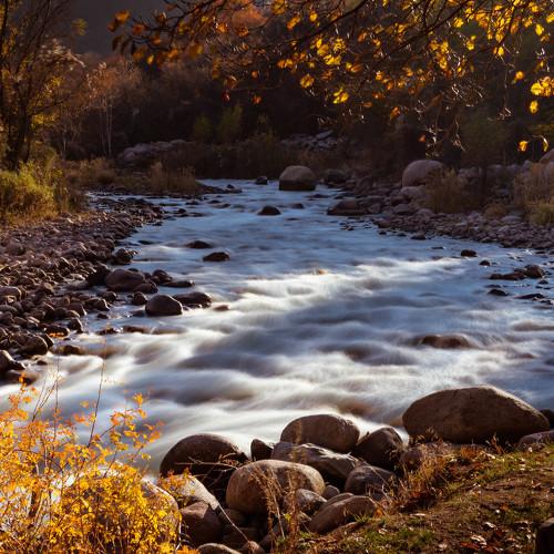 Photo #4007690