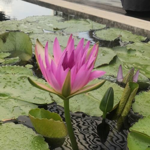 Photo #4008138