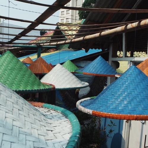 Photo #4008206