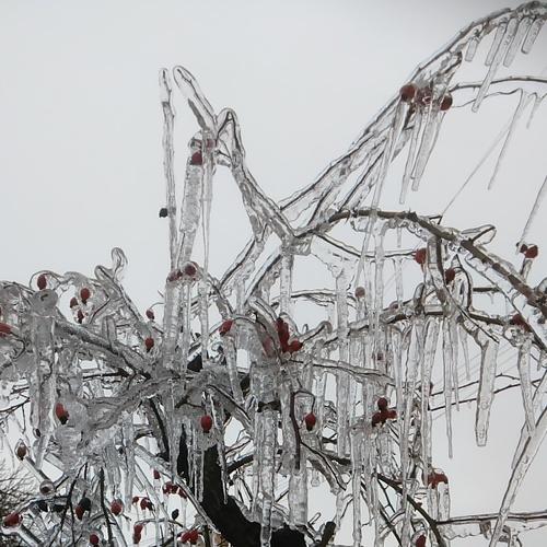 Photo #4008853