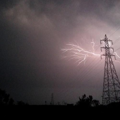Photo #4009072