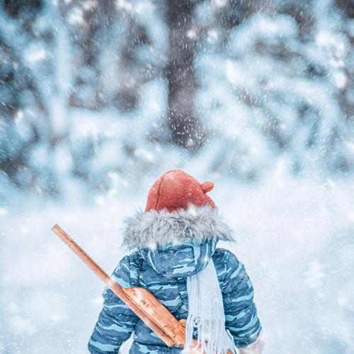 Photo #4009450