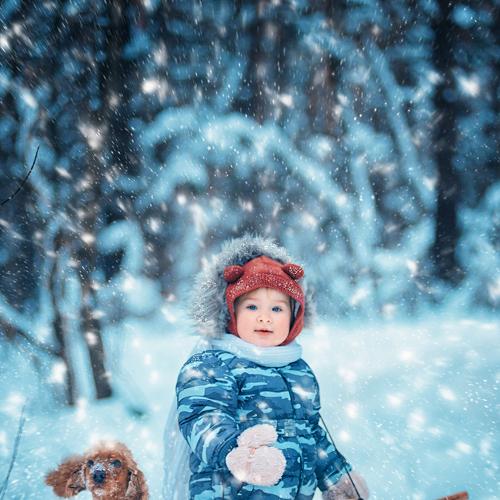 Photo #4009451