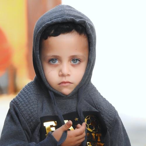 Photo #4009594