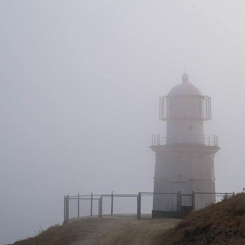 Photo #4010008