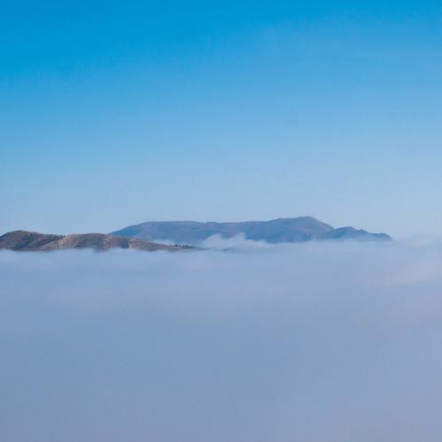 Photo #4010072