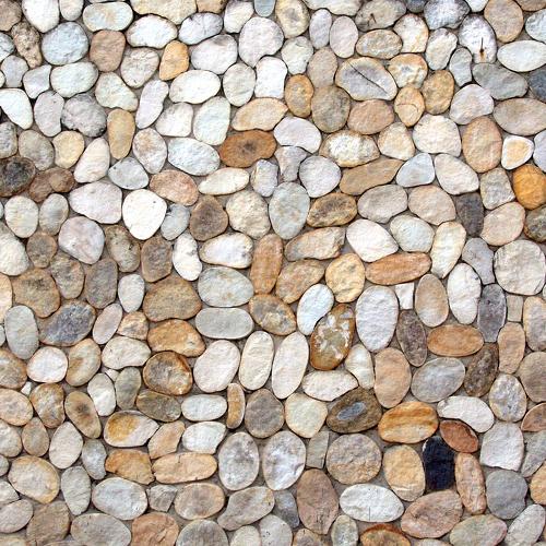 Muro