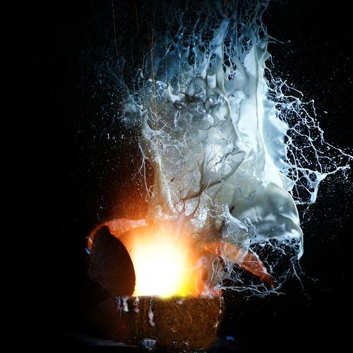 Photo #4010246
