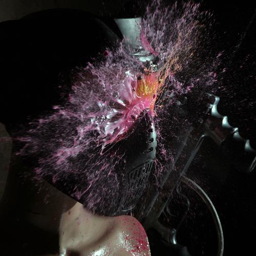 Photo #4010284