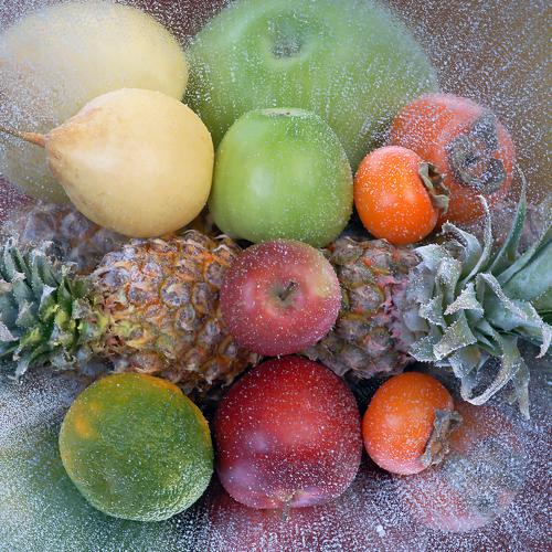 Photo #4010300