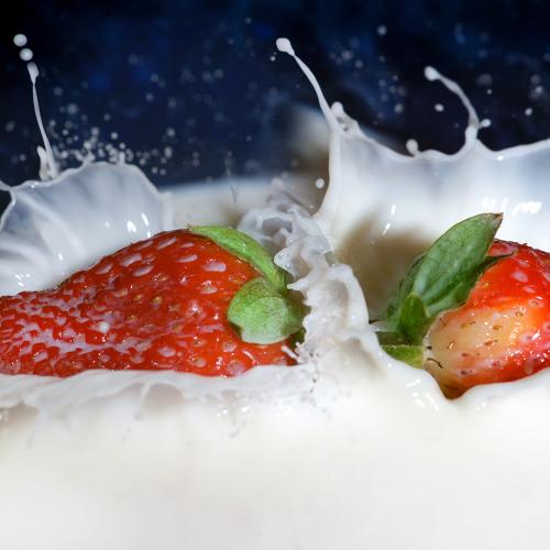 Photo #4010335