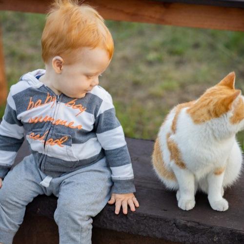 Photo #4010444