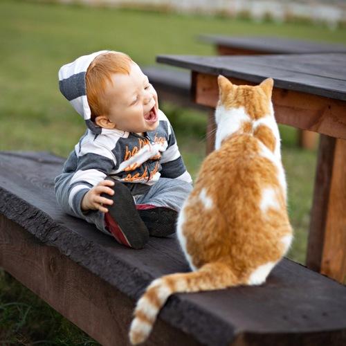 Photo #4010445