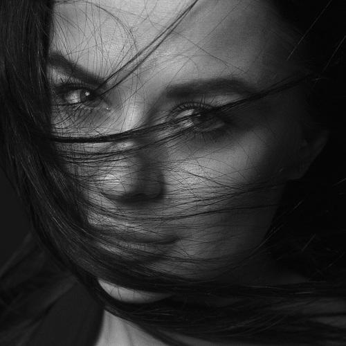Photo #4011231