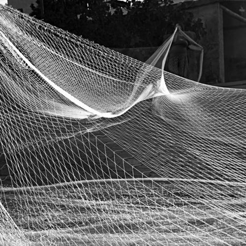 Fish net
