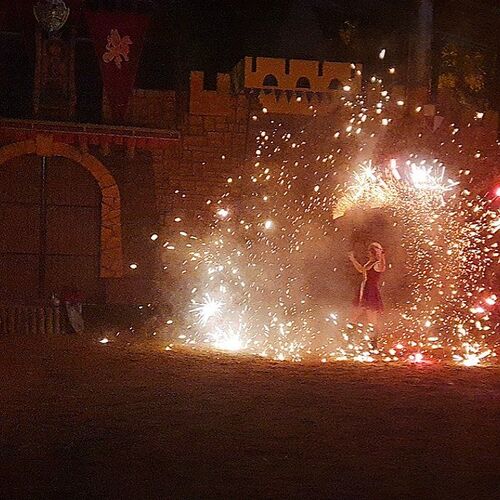 Photo #4011595
