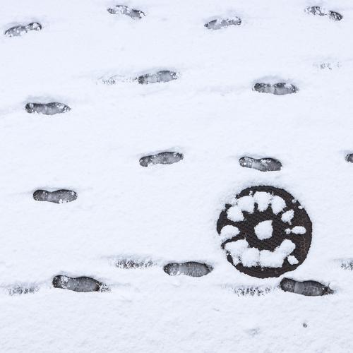 Photo #4011846