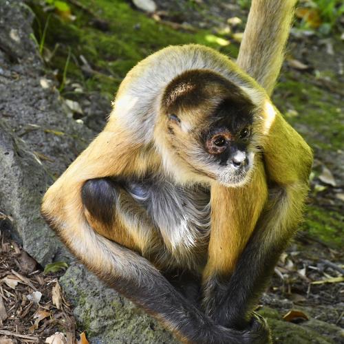 Photo #4012093