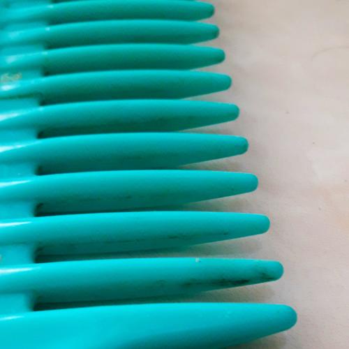 Photo #4012715